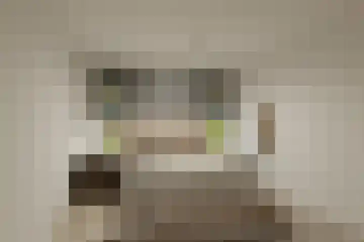 Dahliastraat 4 Zwijndrecht thumbnail 11