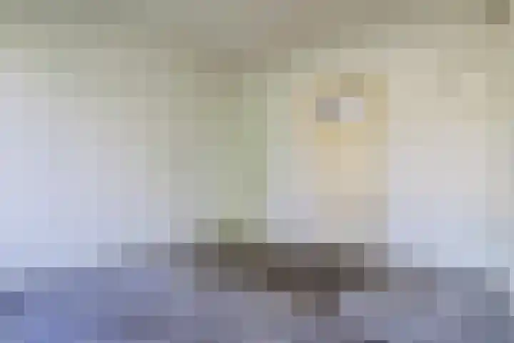 Dahliastraat 4 Zwijndrecht thumbnail 14