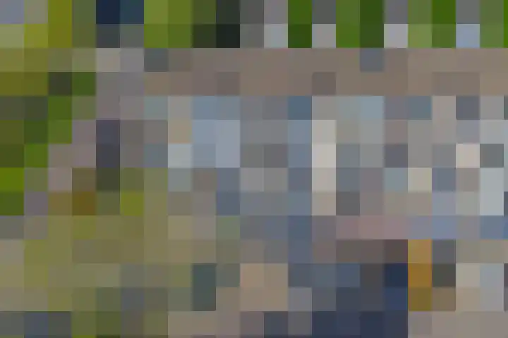 Dahliastraat 4 Zwijndrecht thumbnail 19