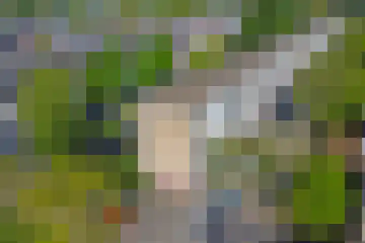 Dahliastraat 4 Zwijndrecht thumbnail 20