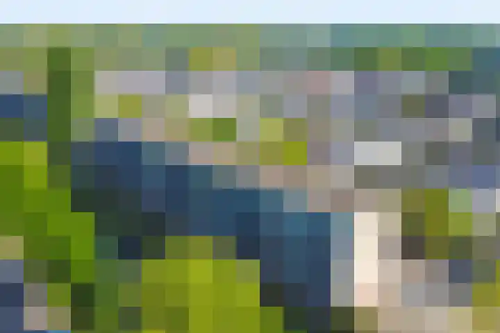 Dahliastraat 4 Zwijndrecht thumbnail 21