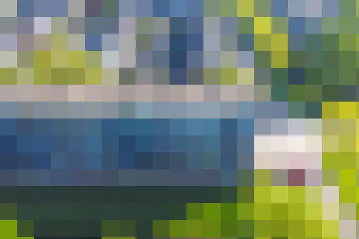 Dahliastraat 4 Zwijndrecht thumbnail 22