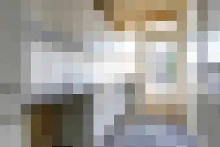 Dahliastraat 4 Zwijndrecht thumbnail 7