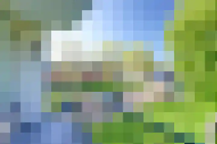 Dahliastraat 4 Zwijndrecht thumbnail 9
