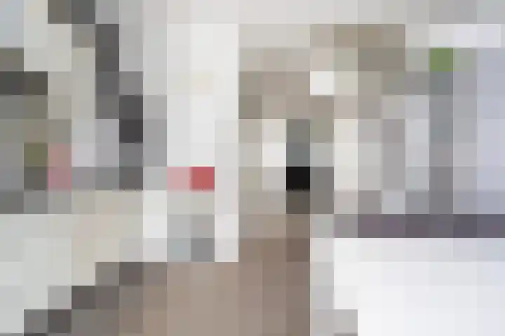 Dahliastraat 40 A Rotterdam thumbnail 7