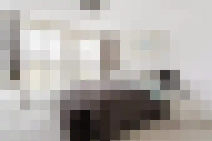 Dahliastraat 40 A Rotterdam thumbnail 8