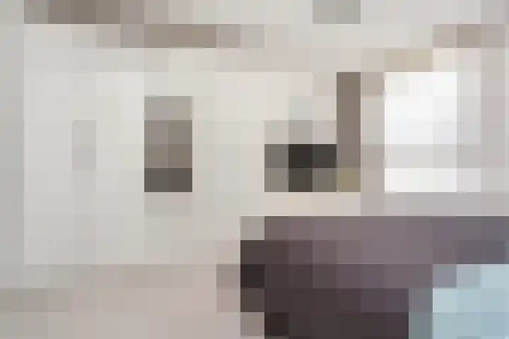 Dahliastraat 40 A Rotterdam thumbnail 9