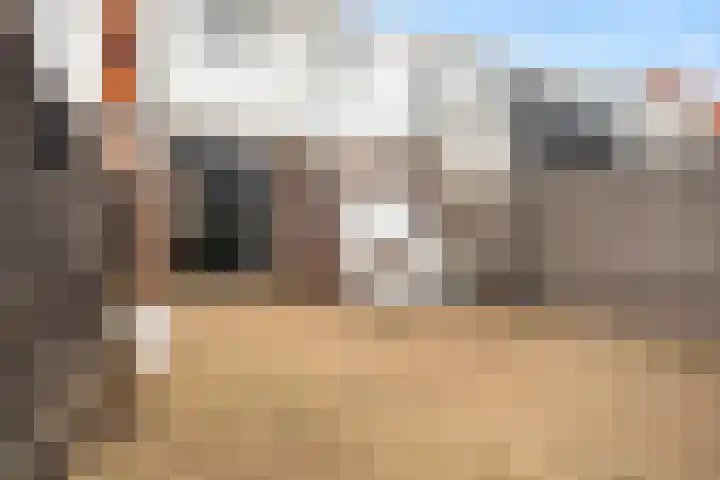Dahliastraat 41 Leeuwarden thumbnail 27