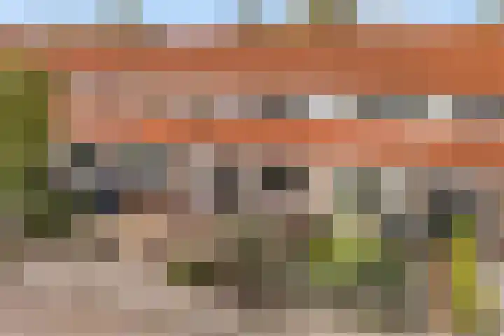 Dahliastraat 41 Leeuwarden thumbnail 4