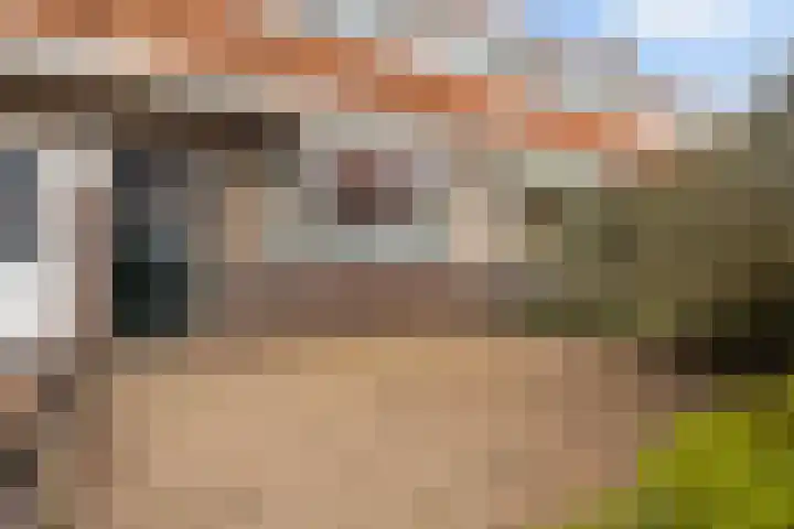 Dahliastraat 41 Leeuwarden thumbnail 8
