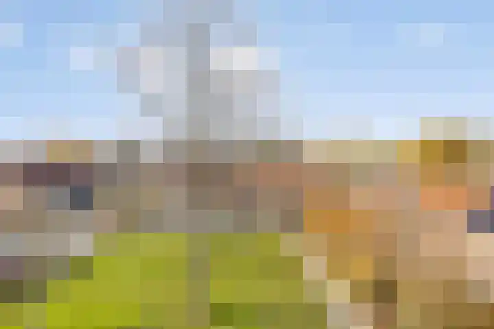 Dahliastraat 41 Rozenburg thumbnail 16