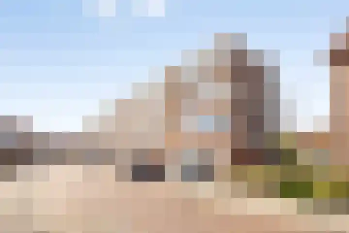 Dahliastraat 41 Rozenburg thumbnail 5