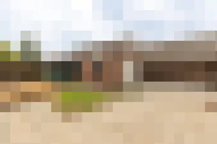 Dahliastraat 41 Wernhout thumbnail 32