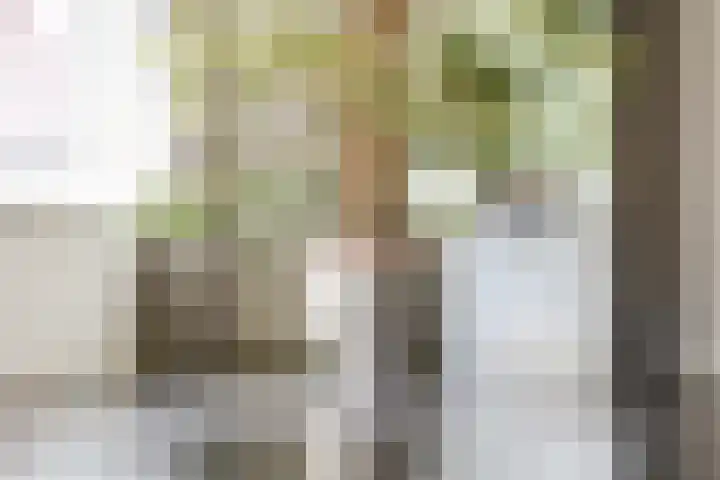 Dahliastraat 42 Made thumbnail 18