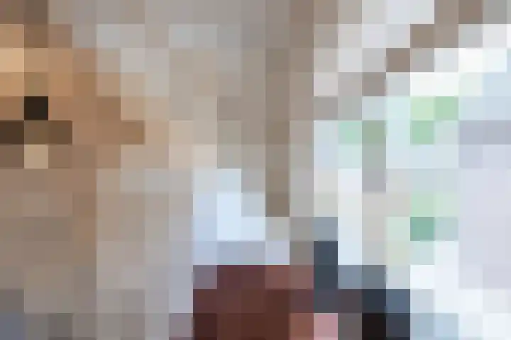 Dahliastraat 42 Made thumbnail 55
