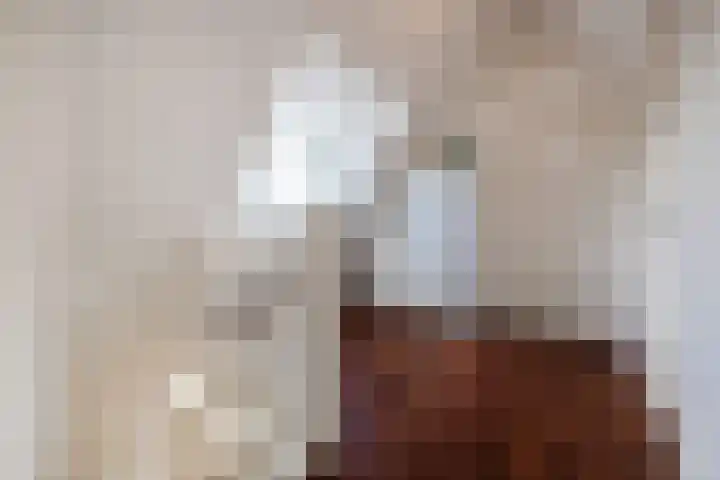 Dahliastraat 42 Made thumbnail 56