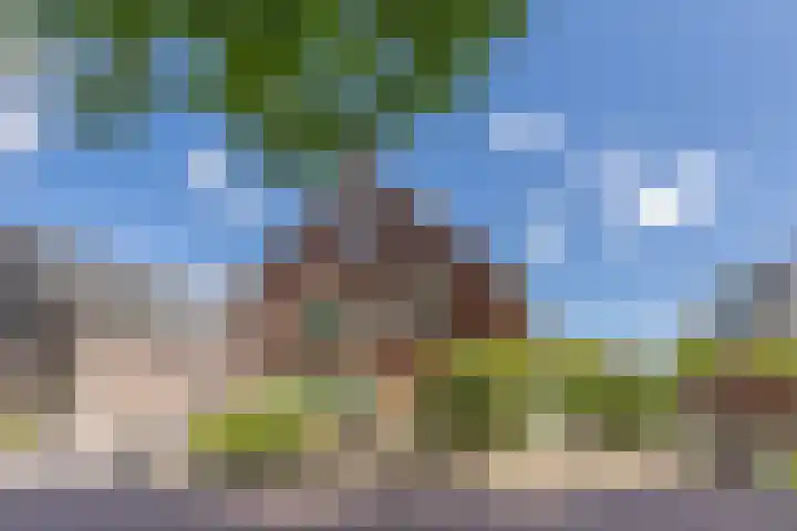 Dahliastraat 42 Made thumbnail 6