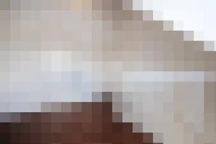 Dahliastraat 42 Made thumbnail 66