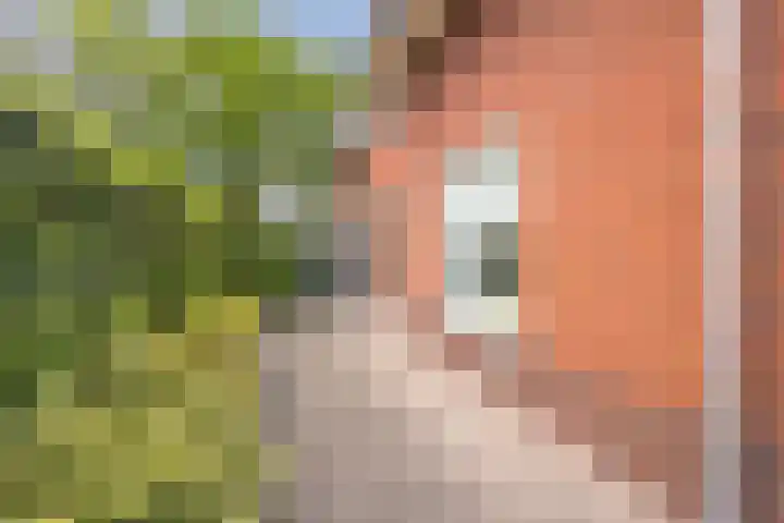 Dahliastraat 42 Made thumbnail 69