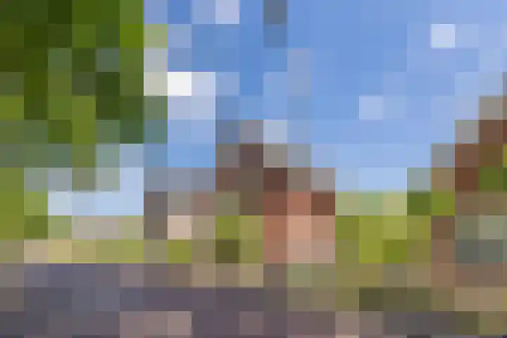 Dahliastraat 42 Made thumbnail 7