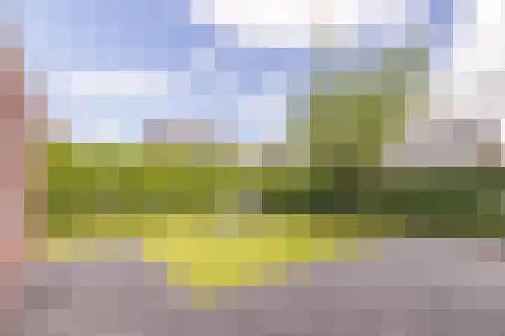 Dahliastraat 42 Made thumbnail 71