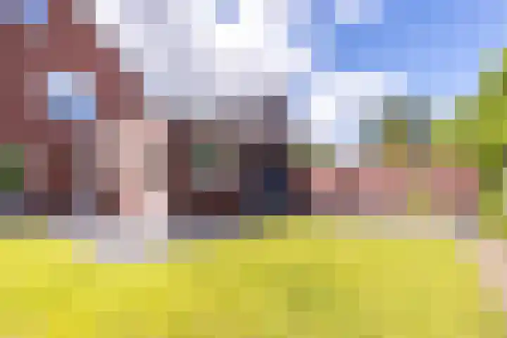 Dahliastraat 42 Made thumbnail 74