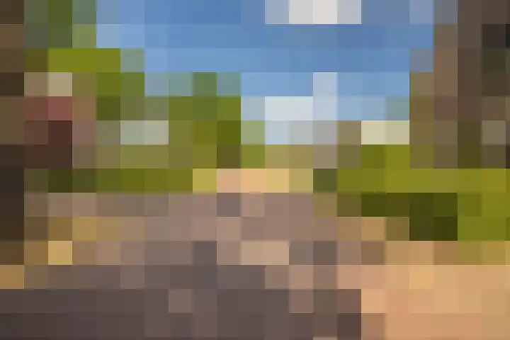 Dahliastraat 42 Made thumbnail 75