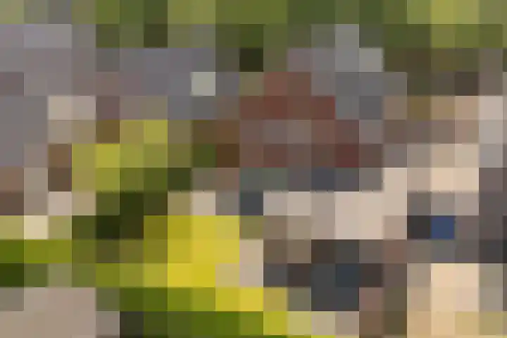 Dahliastraat 42 Made thumbnail 76