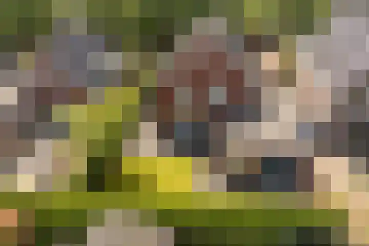 Dahliastraat 42 Made thumbnail 77