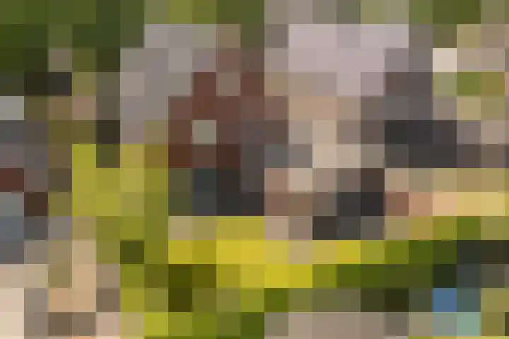 Dahliastraat 42 Made thumbnail 78
