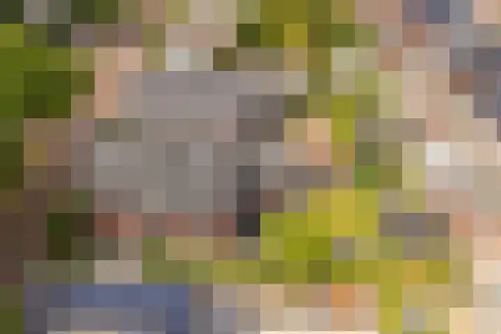 Dahliastraat 42 Made thumbnail 79