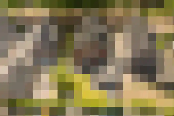 Dahliastraat 42 Made thumbnail 80