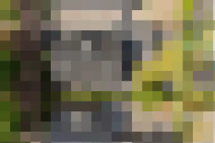 Dahliastraat 42 Made thumbnail 81