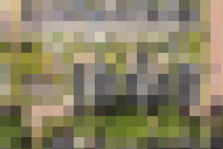 Dahliastraat 42 Made thumbnail 82