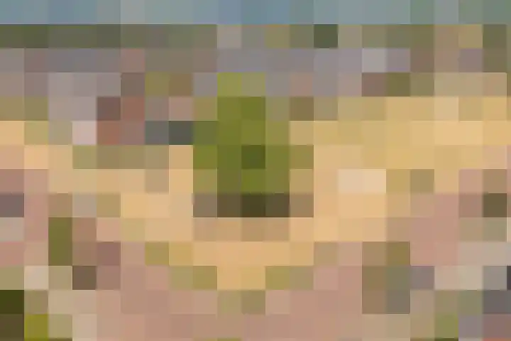 Dahliastraat 42 Made thumbnail 84