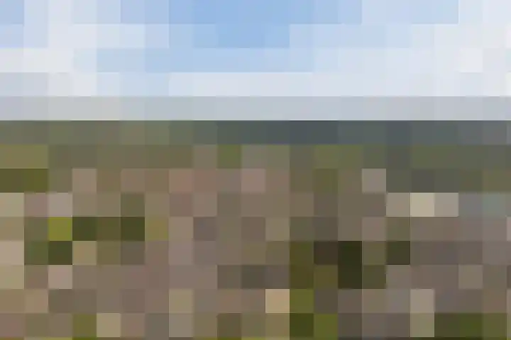 Dahliastraat 42 Made thumbnail 85