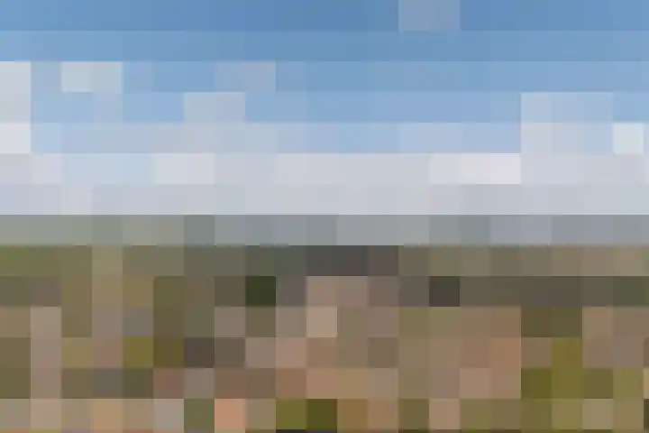 Dahliastraat 42 Made thumbnail 86