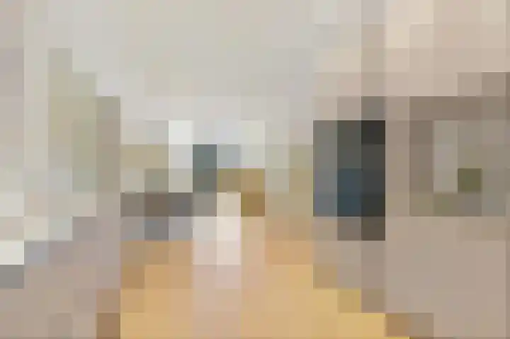 Dahliastraat 42 Rijswijk thumbnail 13