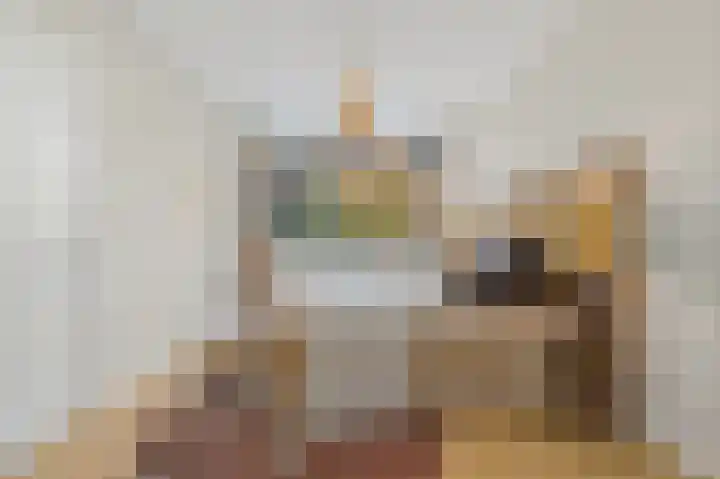 Dahliastraat 42 Rijswijk thumbnail 16