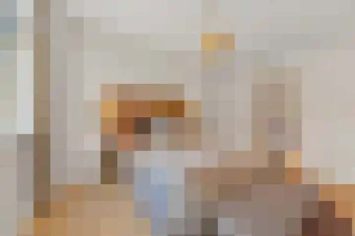 Dahliastraat 42 Rijswijk thumbnail 17