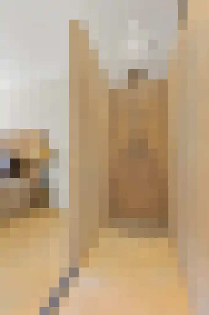 Dahliastraat 42 Rijswijk thumbnail 18