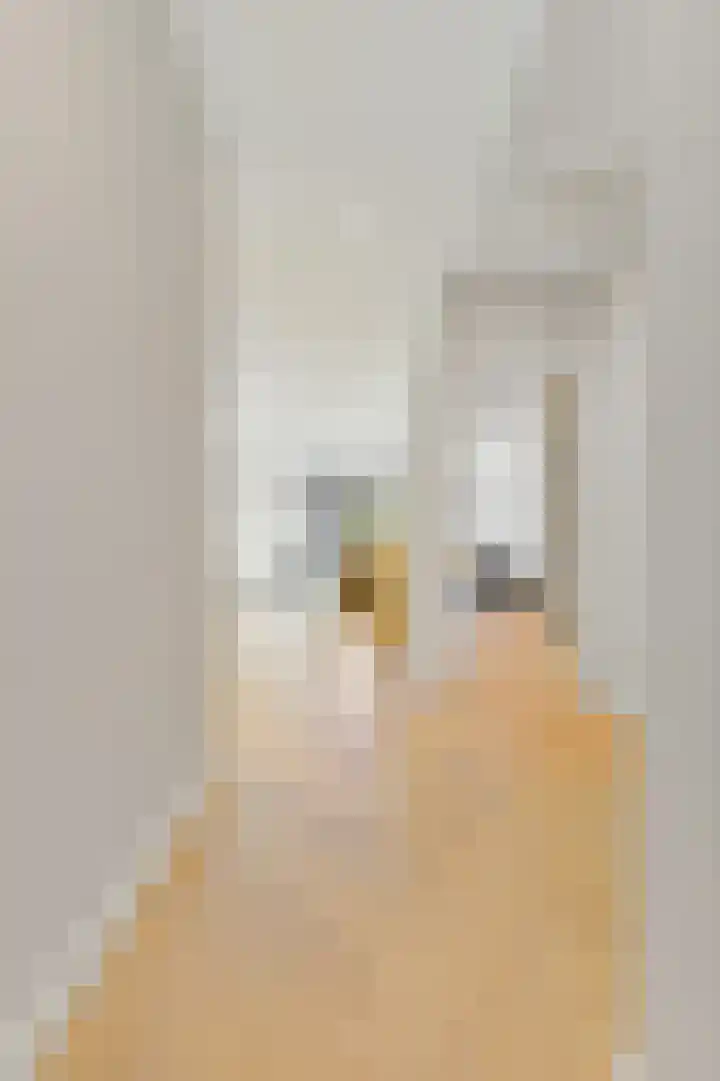 Dahliastraat 42 Rijswijk thumbnail 20