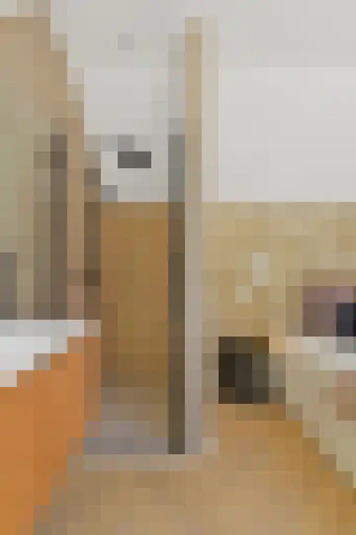 Dahliastraat 42 Rijswijk thumbnail 29
