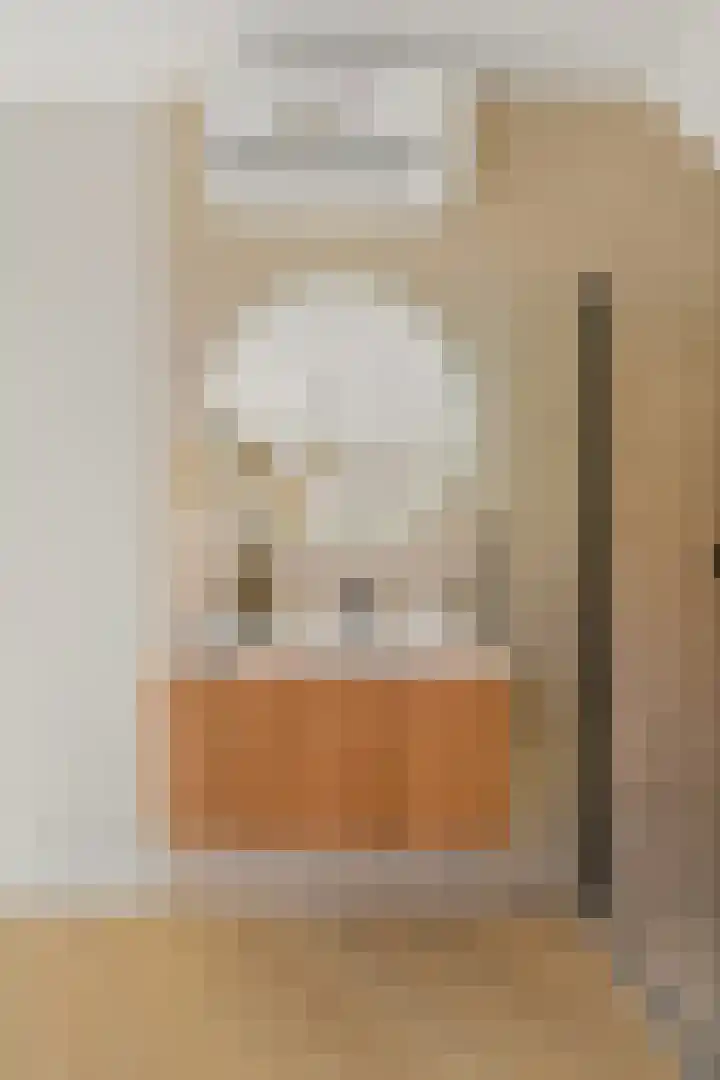 Dahliastraat 42 Rijswijk thumbnail 30