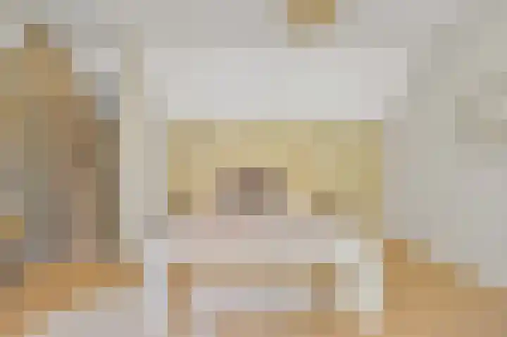 Dahliastraat 42 Rijswijk thumbnail 31