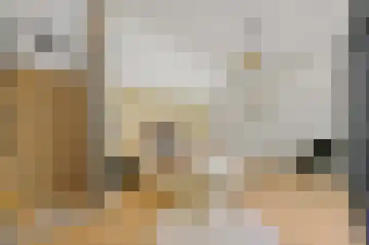 Dahliastraat 42 Rijswijk thumbnail 32