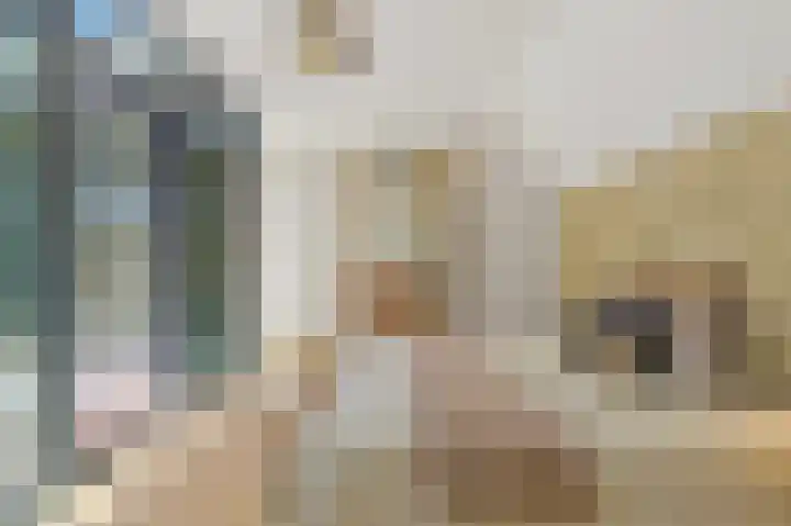 Dahliastraat 42 Rijswijk thumbnail 33