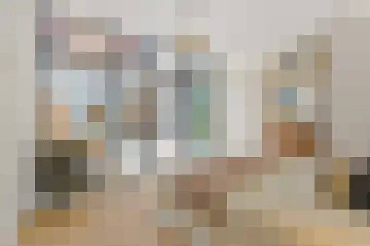 Dahliastraat 42 Rijswijk thumbnail 34