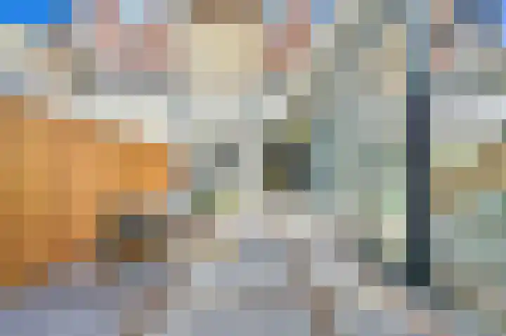Dahliastraat 42 Rijswijk thumbnail 35