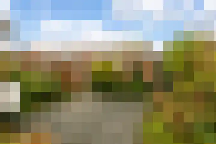 Dahliastraat 44 Veenendaal thumbnail 27
